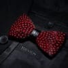 Cimson Dot Dance - Red & Black Polkadot Feather Bow Tie & Pin