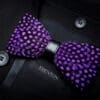 Onyx Allure – The Majesty Feather Bowtie and Pin Set