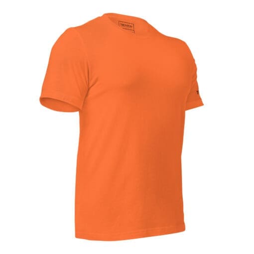 Trenton - Sun-Kissed Orange Citrus t-shirt